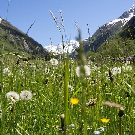 Neuhaushof Apartman Hollersbach im Pinzgau Kültér fotó