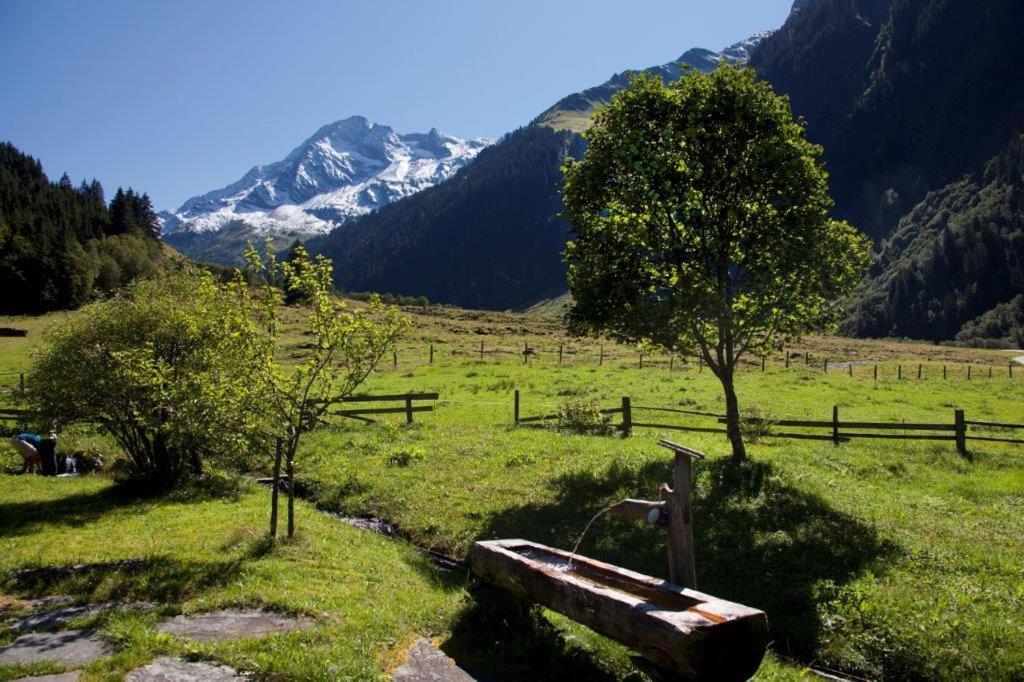 Neuhaushof Apartman Hollersbach im Pinzgau Kültér fotó