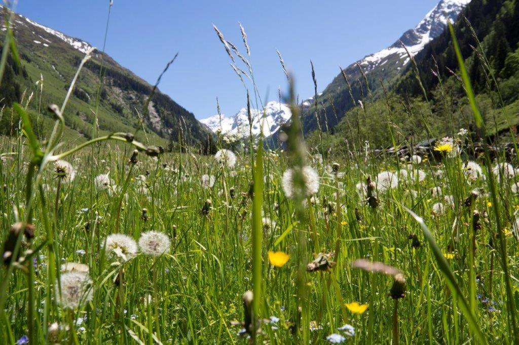 Neuhaushof Apartman Hollersbach im Pinzgau Kültér fotó