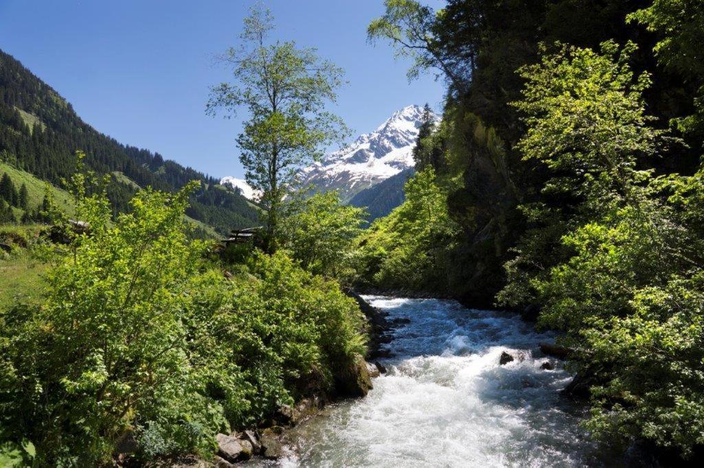 Neuhaushof Apartman Hollersbach im Pinzgau Kültér fotó