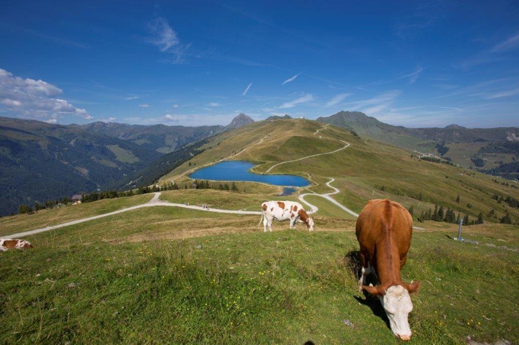 Neuhaushof Apartman Hollersbach im Pinzgau Kültér fotó