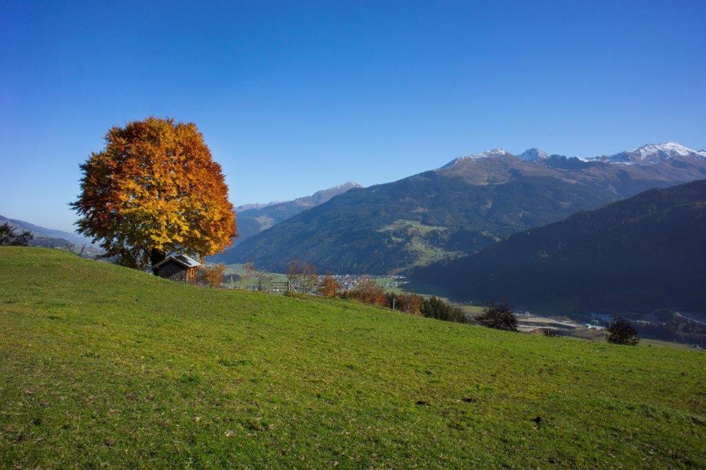 Neuhaushof Apartman Hollersbach im Pinzgau Kültér fotó